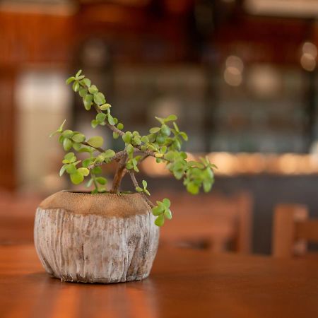 Hotel Muyu Tulum Kültér fotó