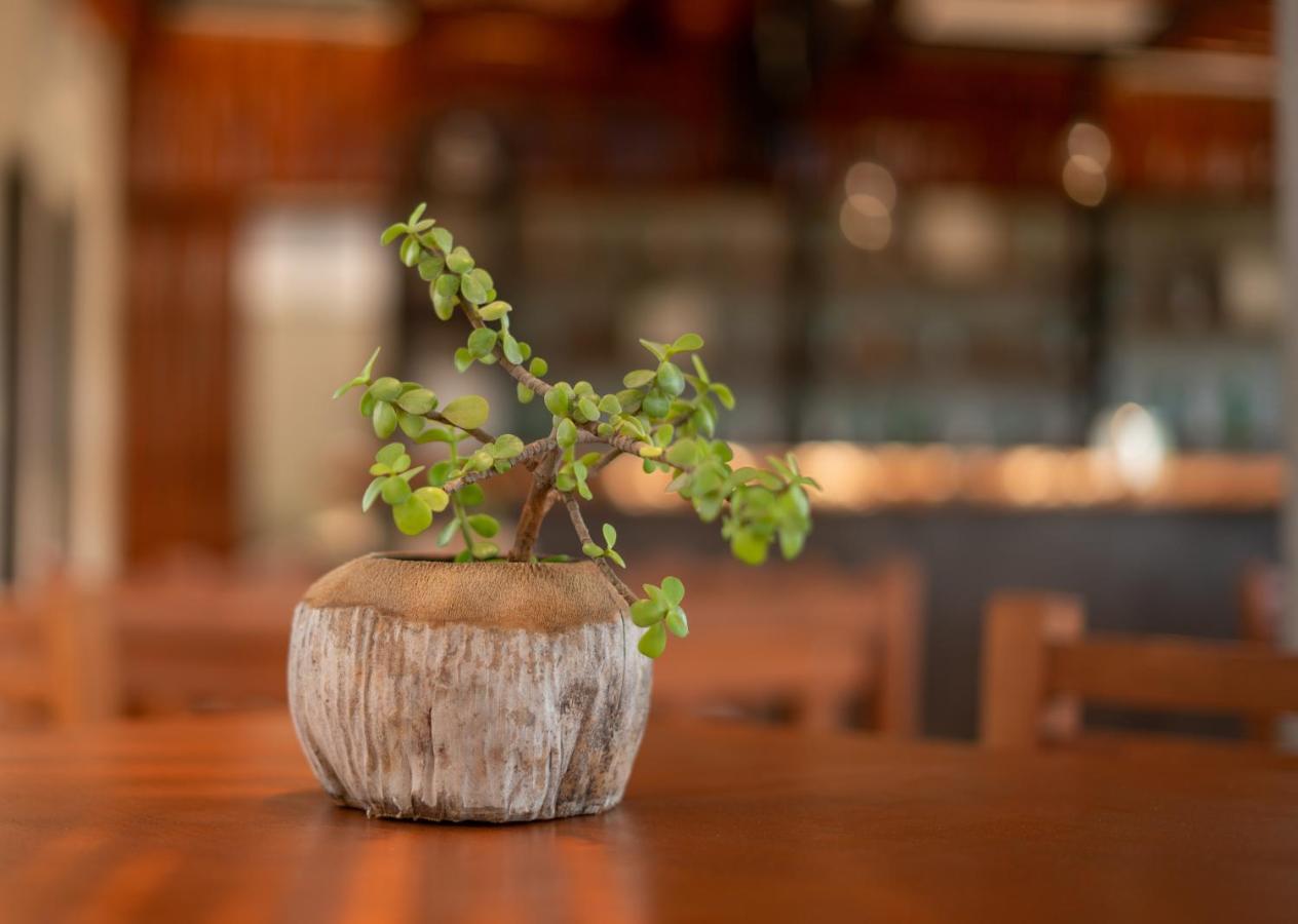 Hotel Muyu Tulum Kültér fotó